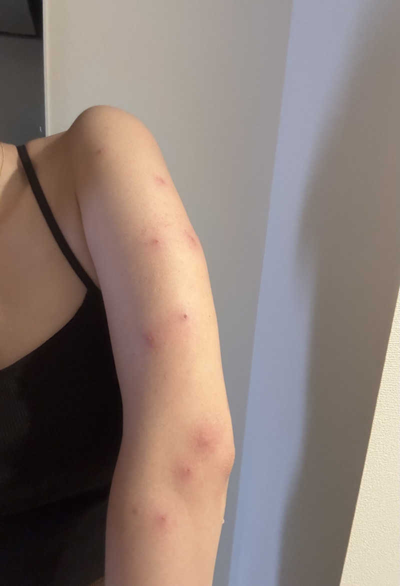 nayuさんのCHILL VALLEY 養老渓谷のサ活写真