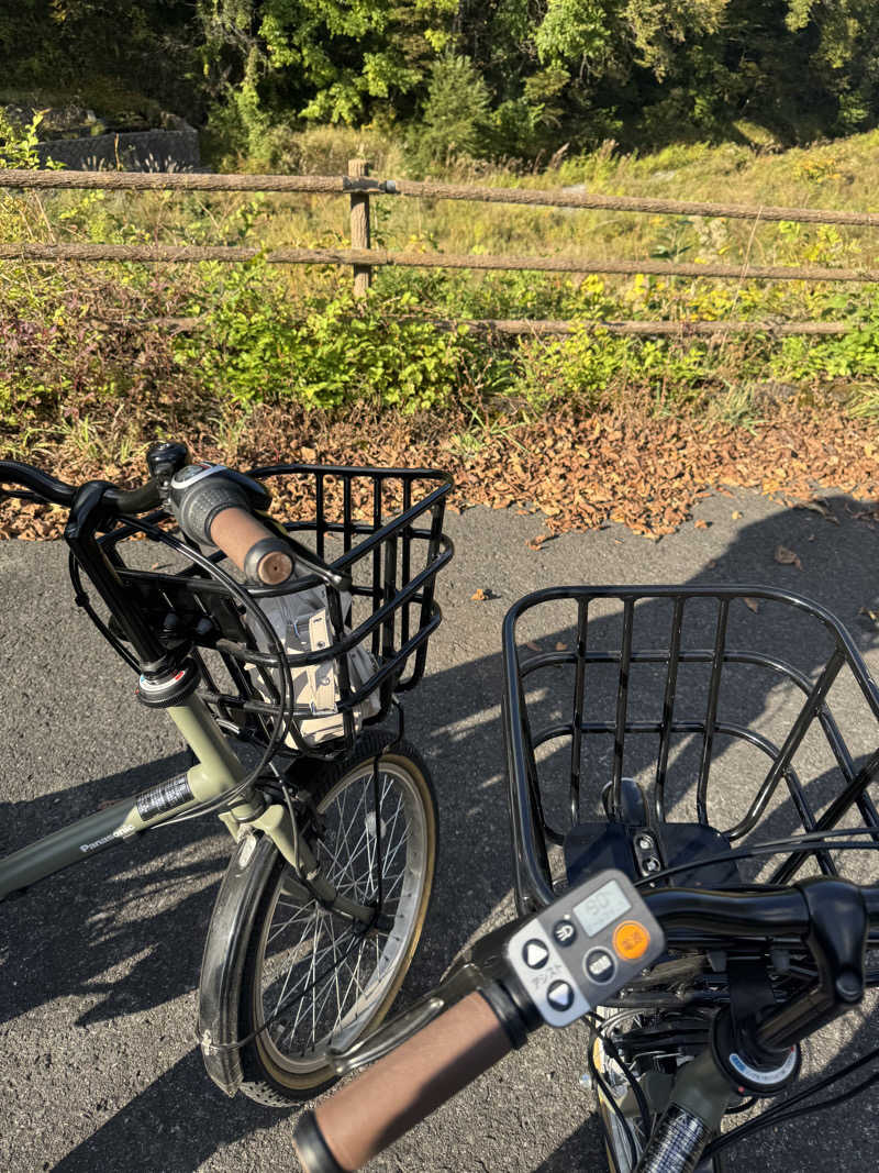 nayuさんの亀の井ホテル 日光湯西川のサ活写真