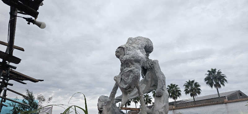 たまさんの北加賀屋MULTI BARTHEのサ活写真