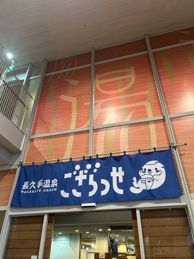 The Heatlesさんの長久手温泉 ござらっせのサ活写真