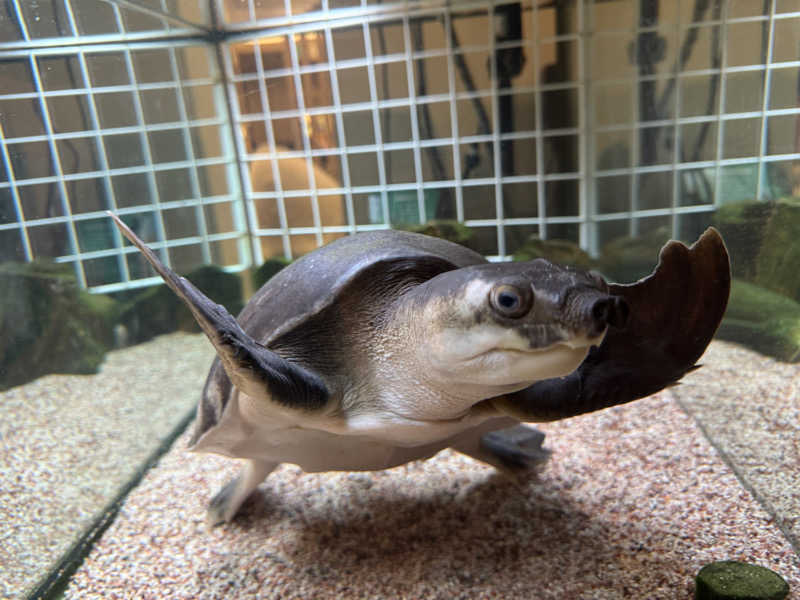 わんころさんの松本湯のサ活写真