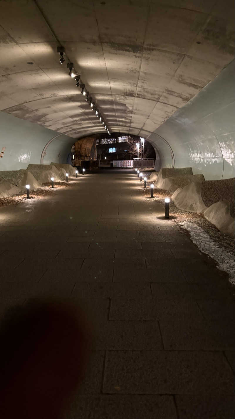 さるまたさんさんの足柄浪漫館 あしがら湯のサ活写真
