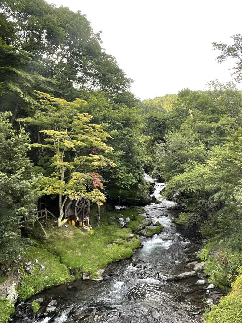 まちゅぴちゅさんの蓼科グランドホテル滝の湯のサ活写真