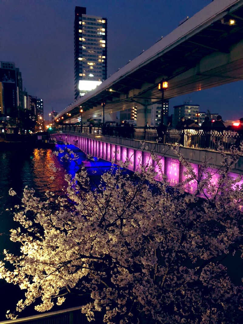 ぐるりさんの天然温泉 延羽の湯 鶴橋店のサ活写真