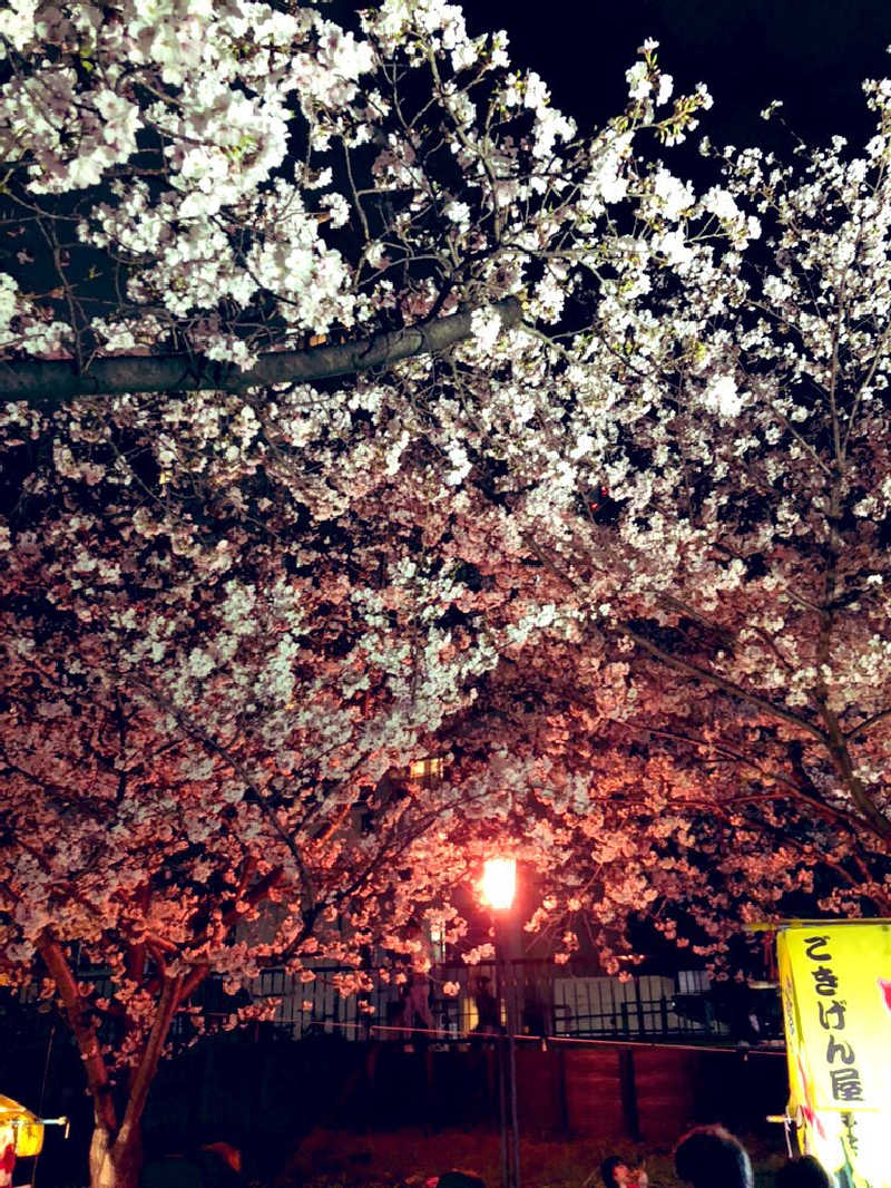 ぐるりさんの天然温泉 延羽の湯 鶴橋店のサ活写真
