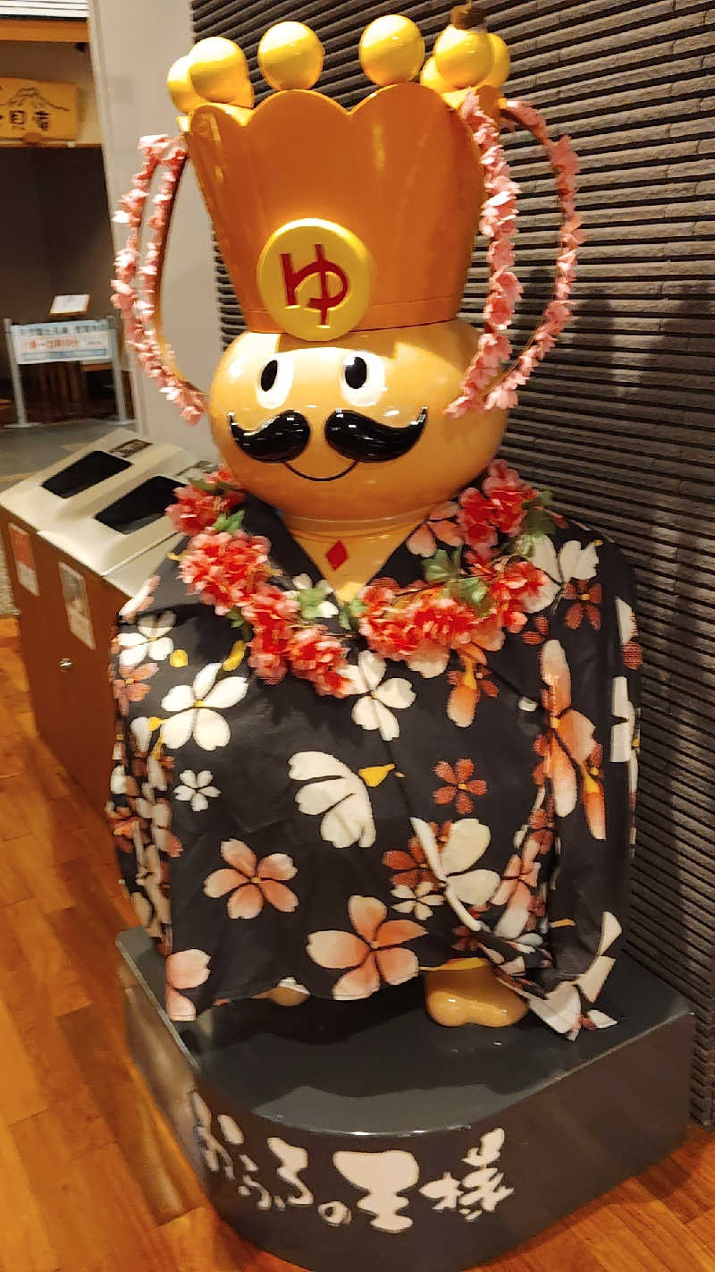 おまさんさんのおふろの王様 高座渋谷駅前店のサ活写真