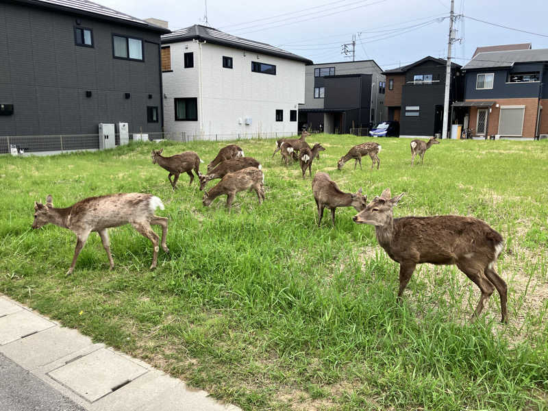 みん001さんの奈良ロイヤルホテル ラ・ロイヤル・スパ&サウナのサ活写真