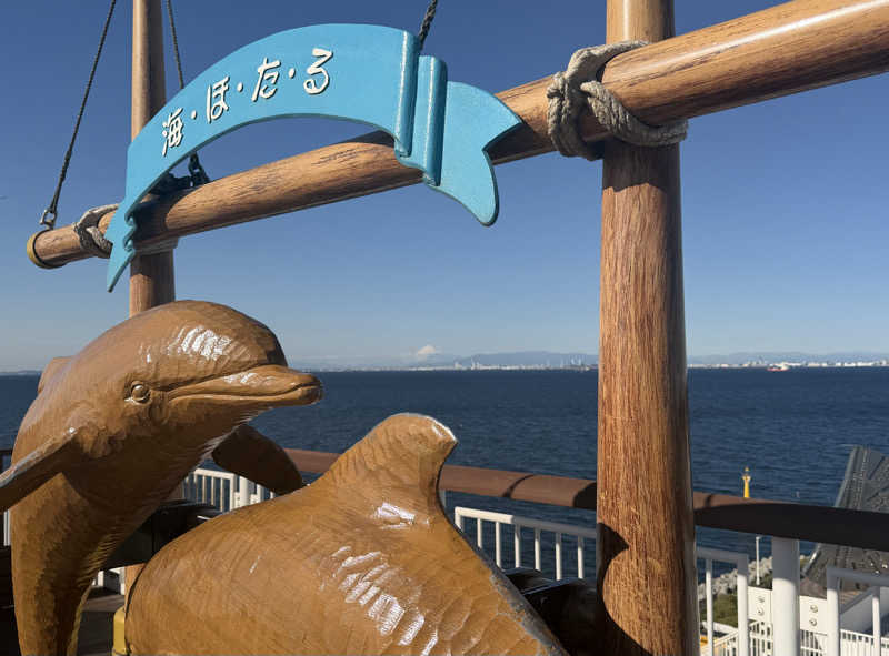 たいちゃんねるさんの天然温泉 湯舞音 袖ケ浦店のサ活写真