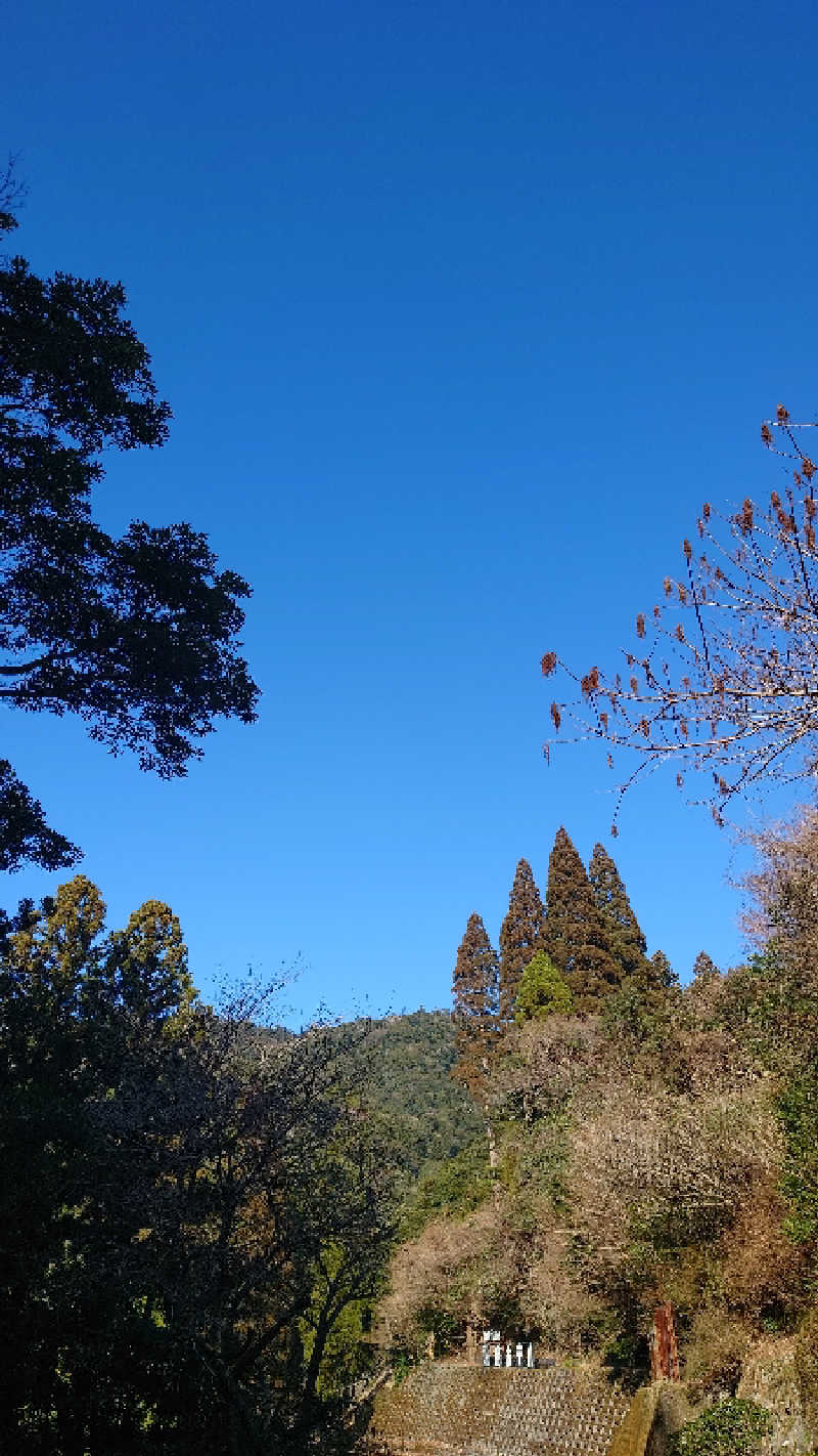 みなとさんの硫黄谷温泉 霧島ホテルのサ活写真