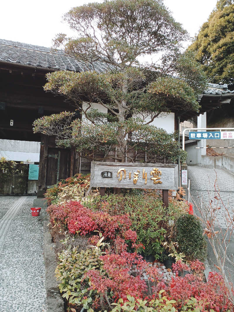 sau・nakamuraさんの佐野天然温泉 湯処 のぼり雲のサ活写真