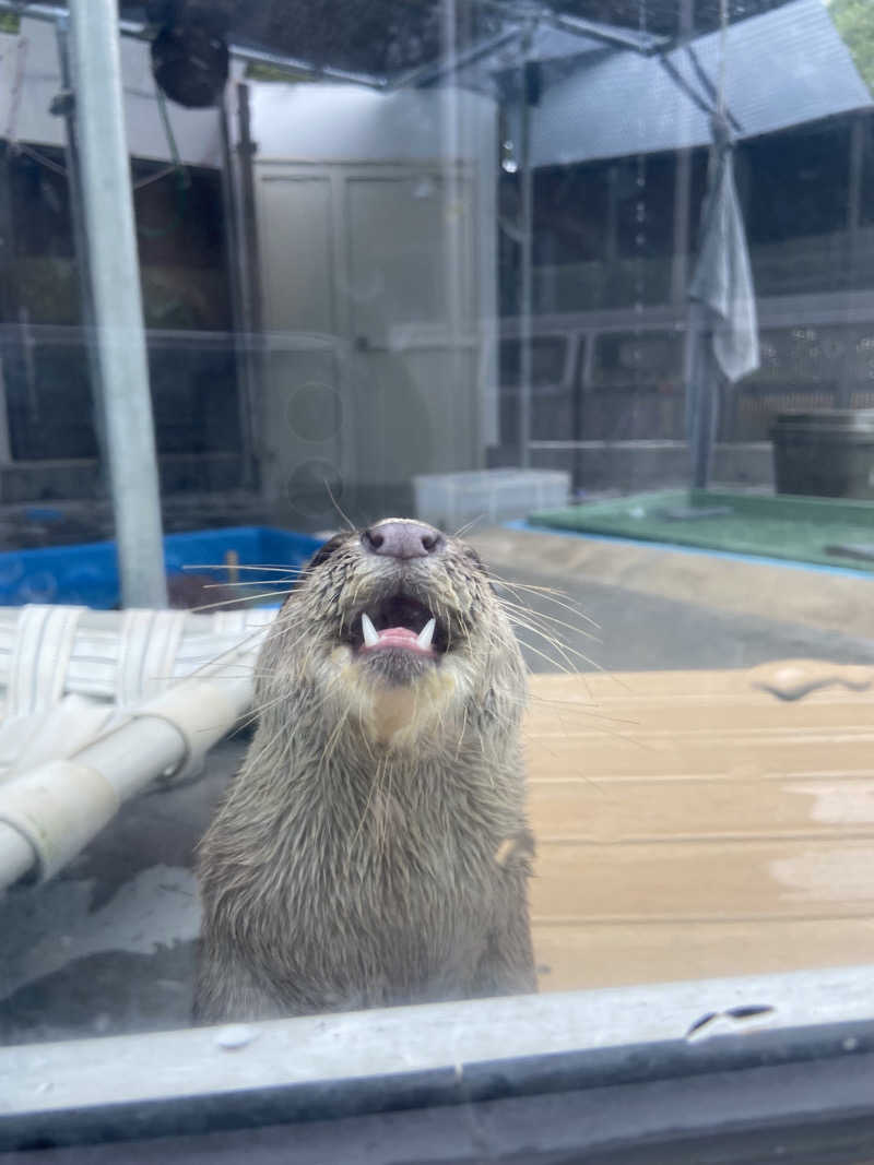 かんさんのよみうりランド眺望温泉 花景の湯のサ活写真