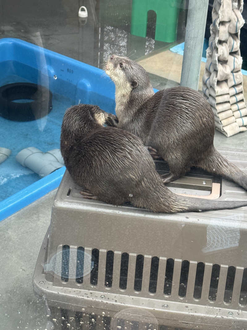 t-o_o-tさんのよみうりランド眺望温泉 花景の湯のサ活写真