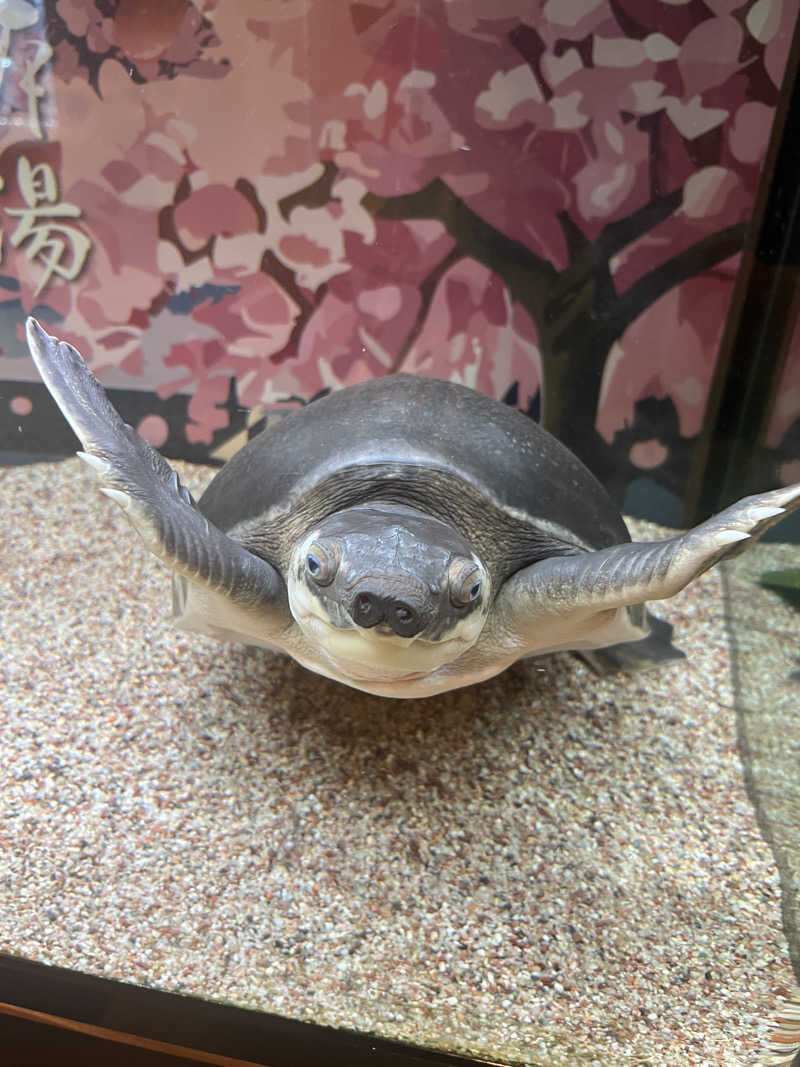 りのさんの松本湯のサ活写真