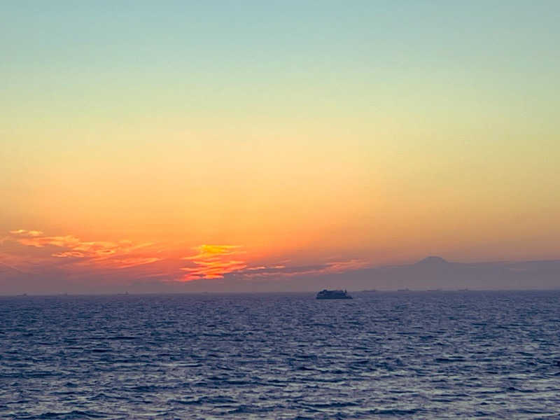 りのさんのJFA夢フィールド 幕張温泉 湯楽の里のサ活写真