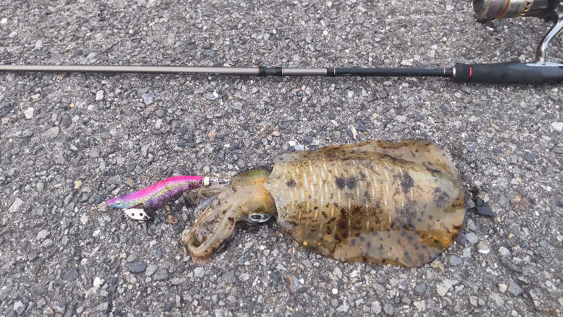 たいすけさんの天草市総合交流施設天然温泉愛夢里のサ活写真