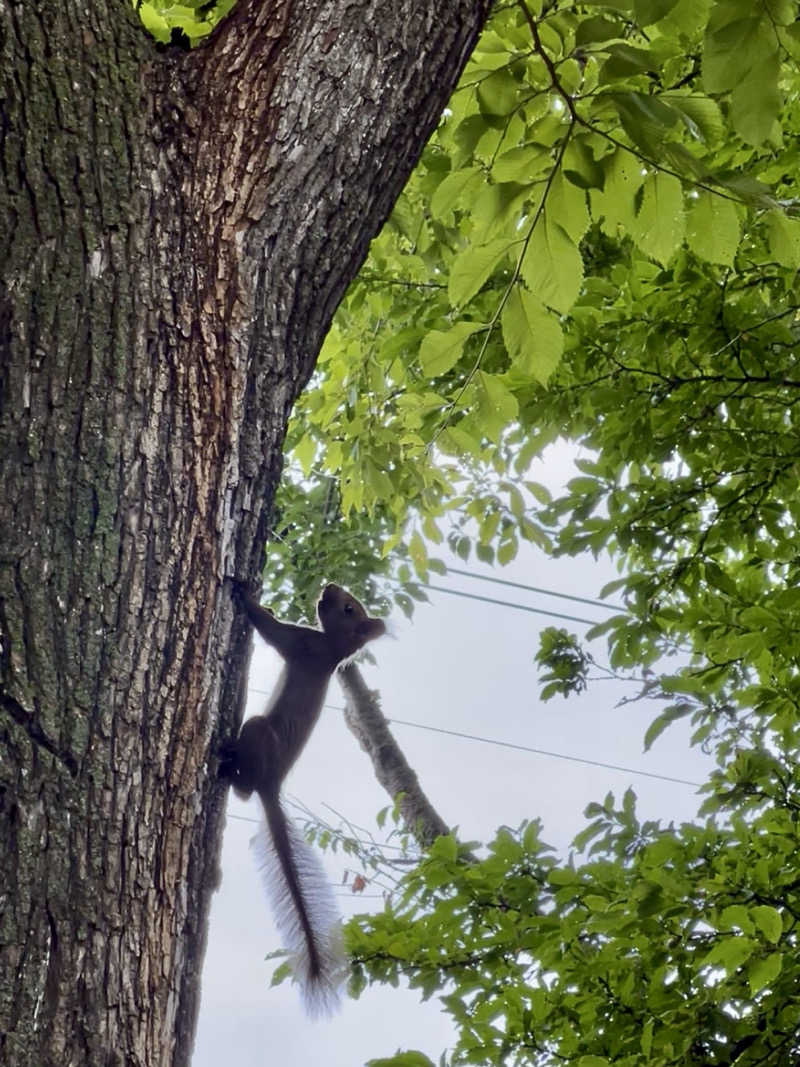 Tom Yamyamさんの森のスパリゾート 北海道ホテルのサ活写真