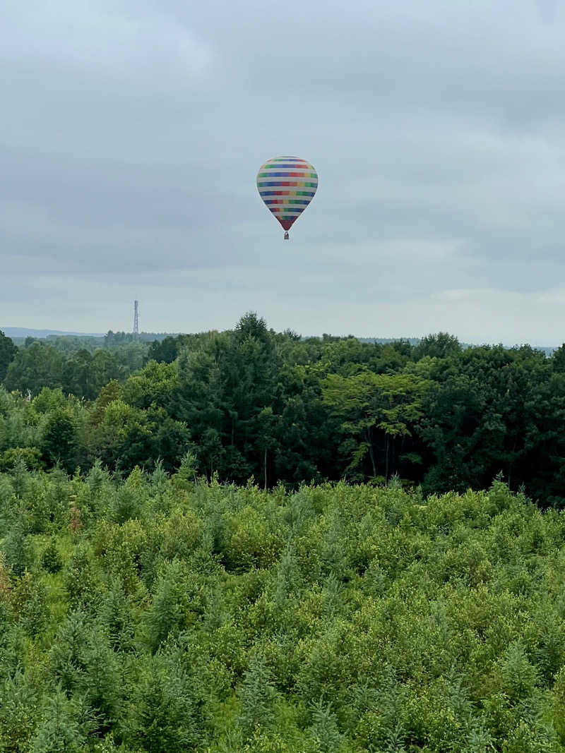 Tom Yamyamさんのふれあいプラザ浴場のサ活写真