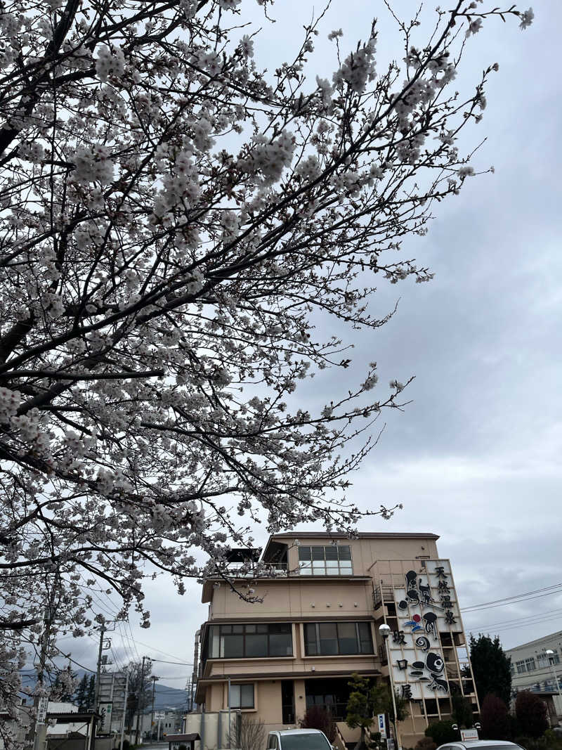 pimuさんの駿河の湯 坂口屋のサ活写真