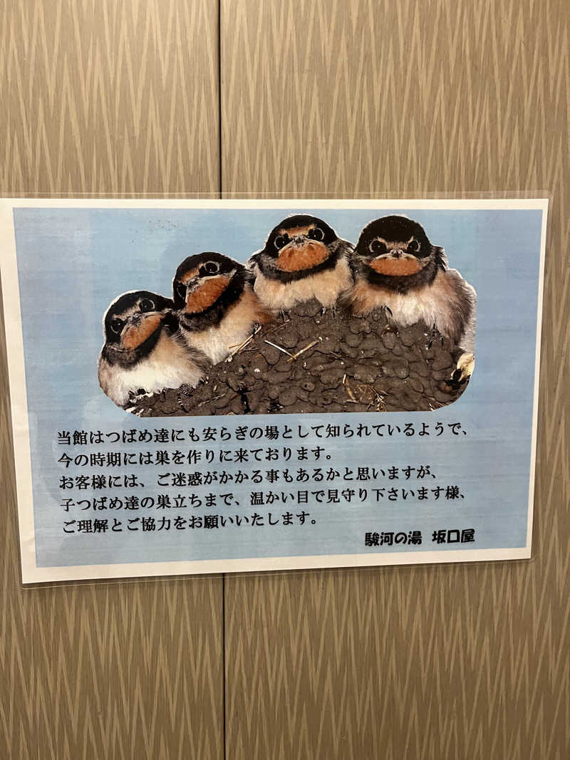 pimuさんの駿河の湯 坂口屋のサ活写真