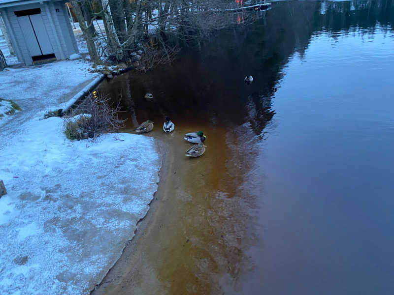 北ノースさんのCafe Kuusijärviのサ活写真