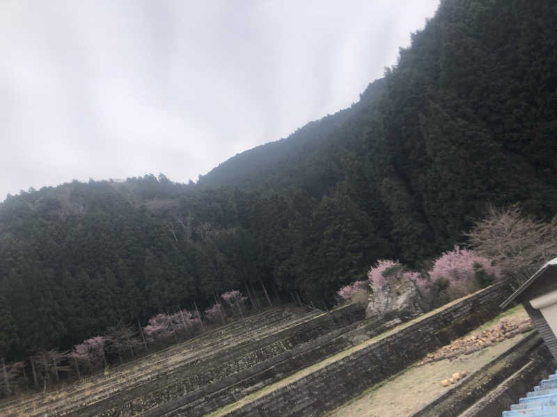 meme♡さんの紀美野サウナ&ホテルのサ活写真