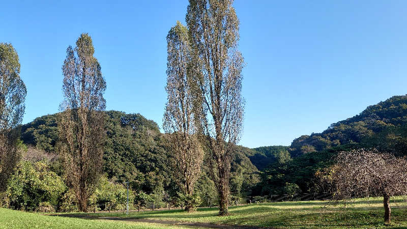 takumiのサウナさんの城里町健康増進施設 ホロルの湯のサ活写真