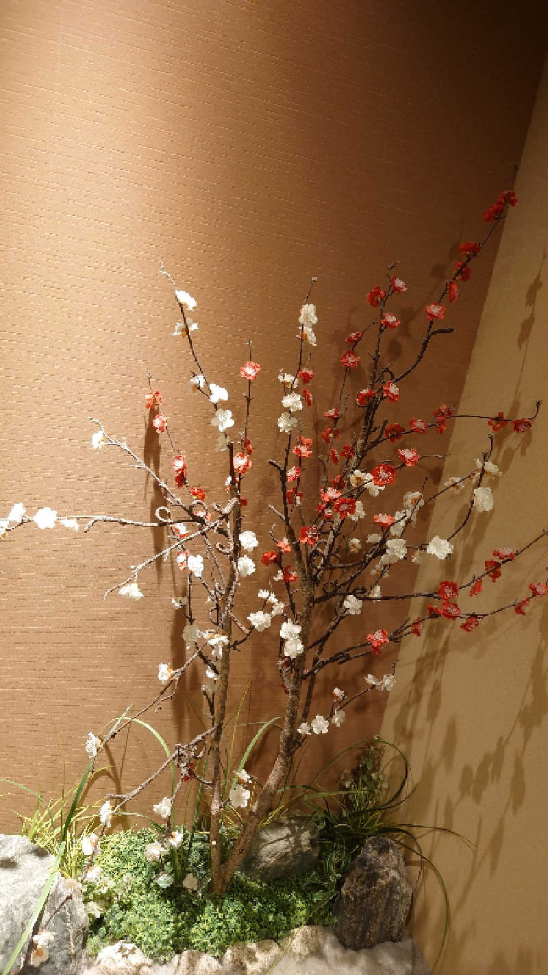 takumi（KABAO🦛）さんの香梅の湯 ドーミーイン水戸のサ活写真