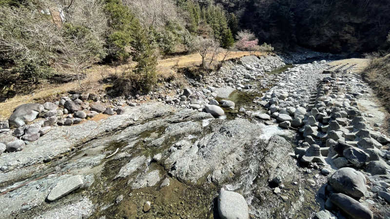 サウビー。さんのかくれ湯の里 信玄館のサ活写真