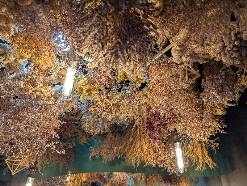 おりょりょさんのおふろcafé あげき温泉のサ活写真