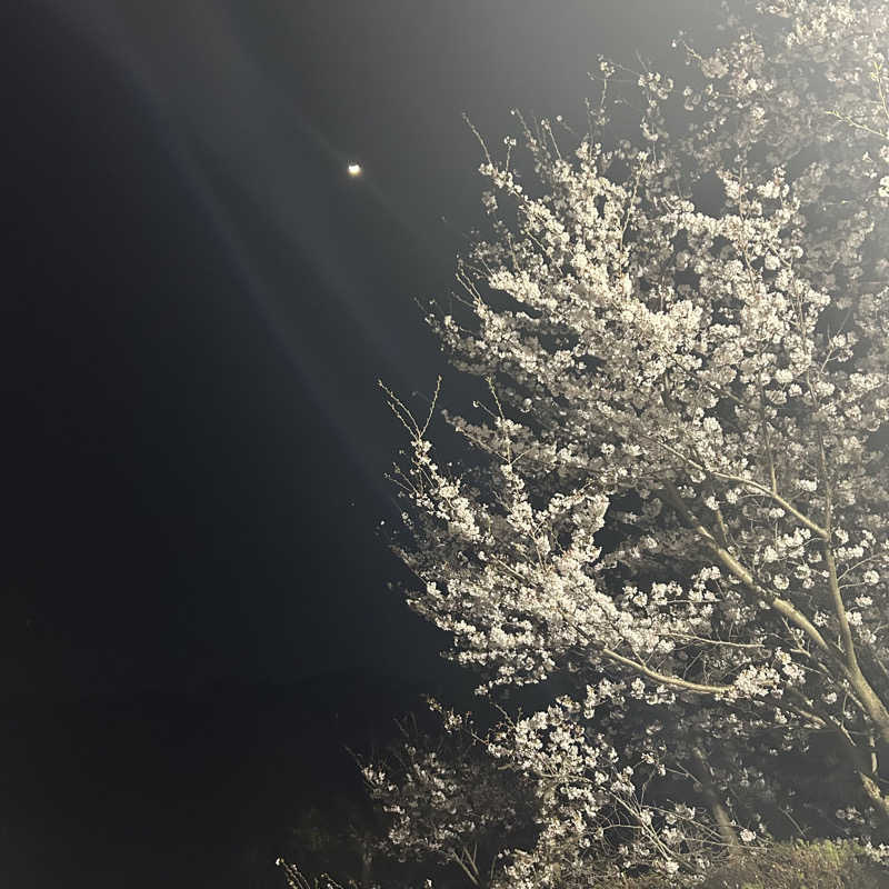 ぼんじりはTAREさんの筑紫野 天拝の郷のサ活写真