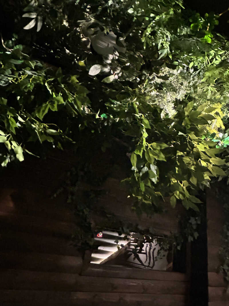 ぼんじりはTAREさんの真大阪サウナのサ活写真