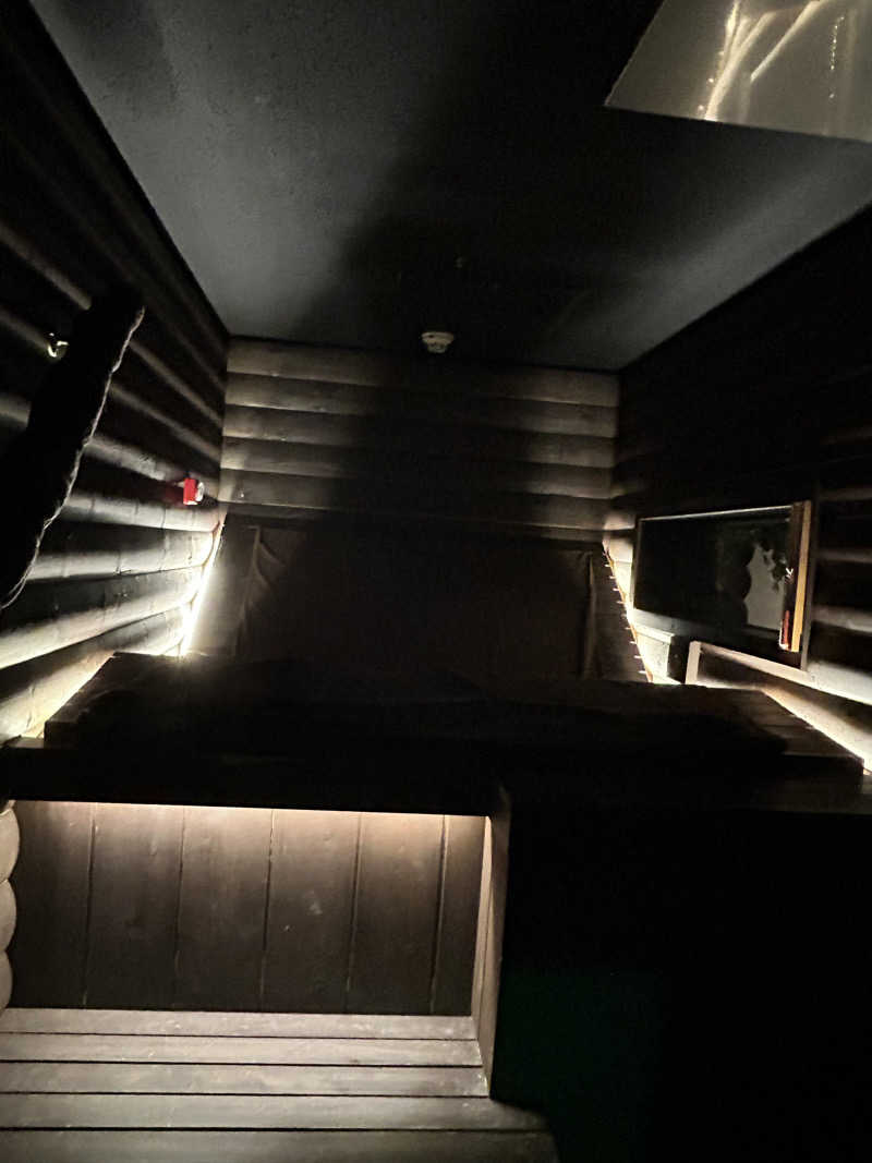 ぼんじりはTAREさんの真大阪サウナのサ活写真