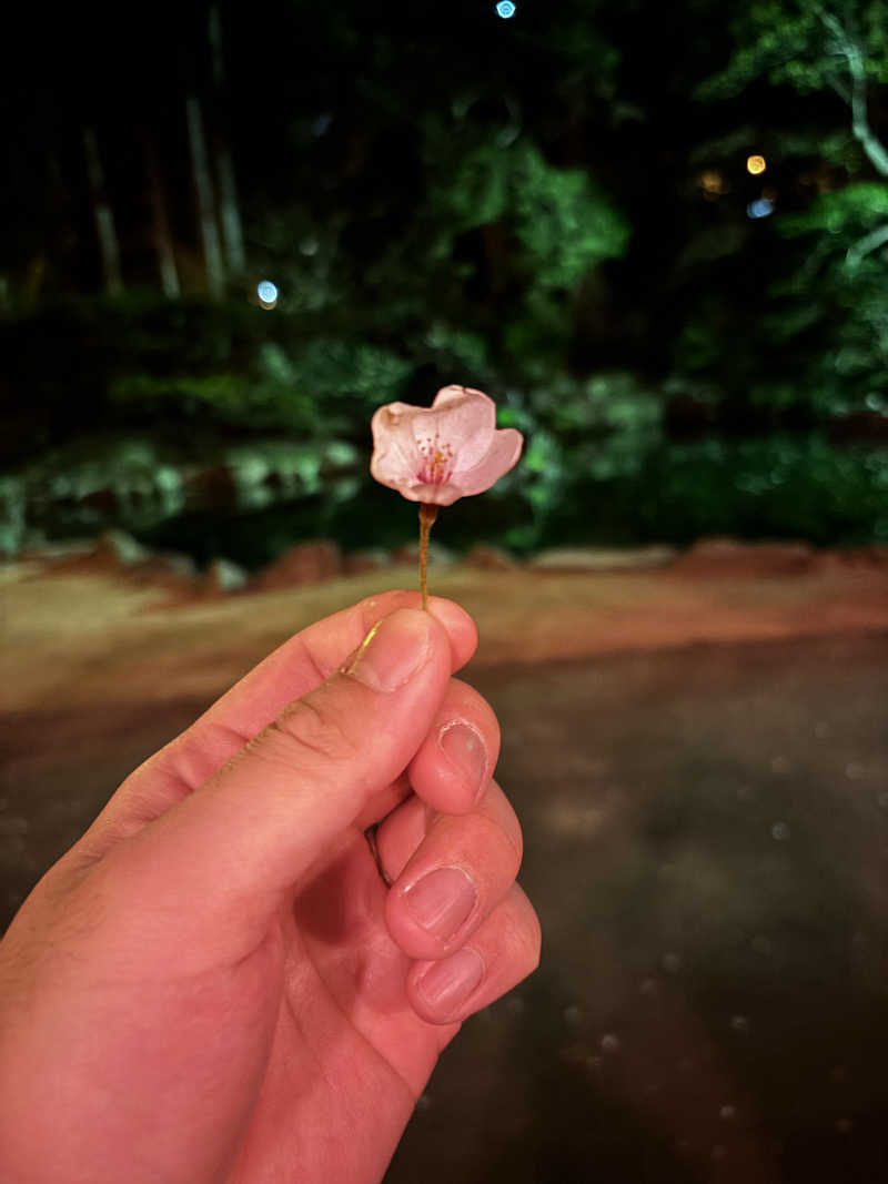 どなるどさんのラビスタ函館ベイのサ活写真