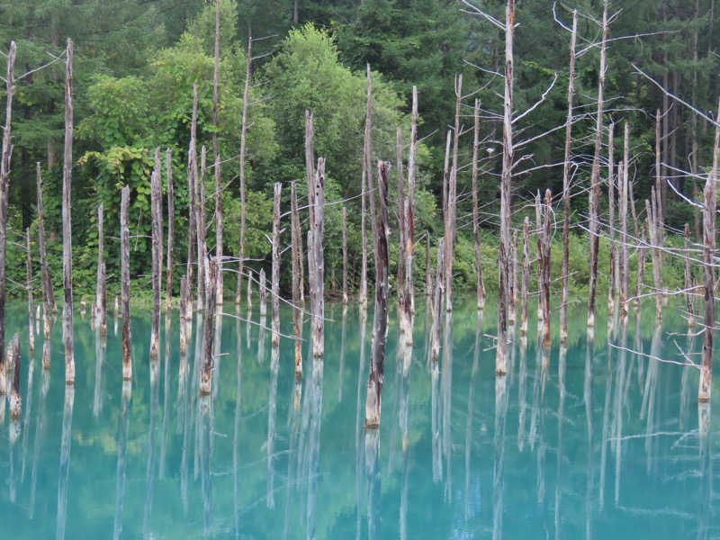紅生姜さんの準天然温泉 みなと湯のサ活写真