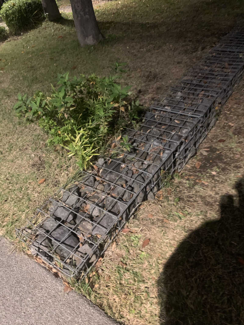 紅生姜さんの湯乃泉 草加健康センターのサ活写真