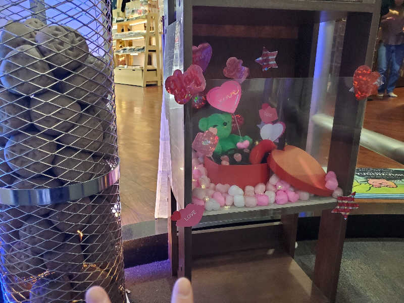 マリちゃんさんの湯乃泉 草加健康センターのサ活写真