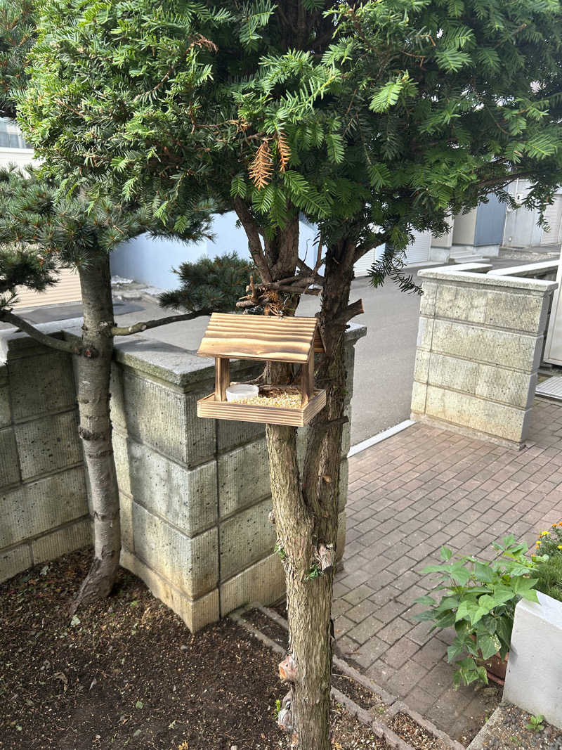 ノーサイドさんの天然温泉あしべ屯田のサ活写真