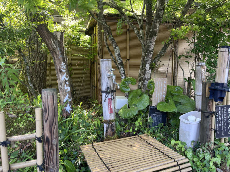 yyさんのモダン湯治 おんりーゆーのサ活写真