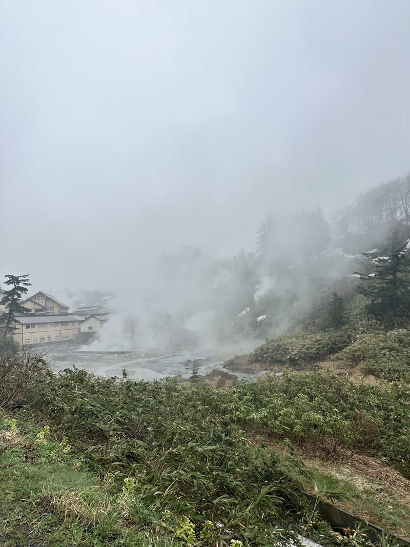 なかのひとさんの後生掛温泉のサ活写真