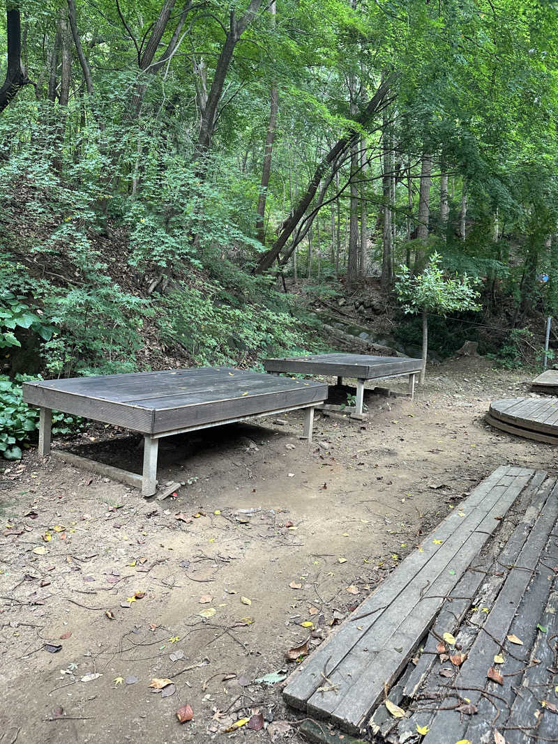 なかのひとさんのスプソク漢方ランド(森の中の漢方ランド)のサ活写真