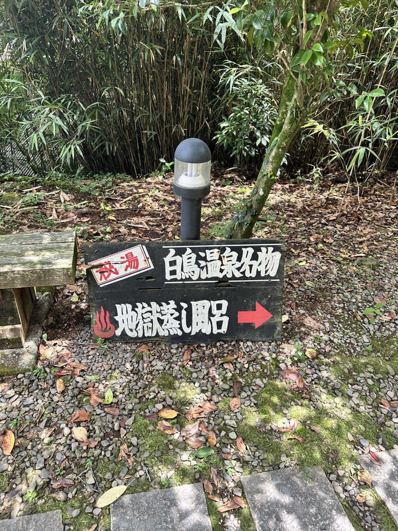 なかのひとさんの白鳥温泉上湯のサ活写真