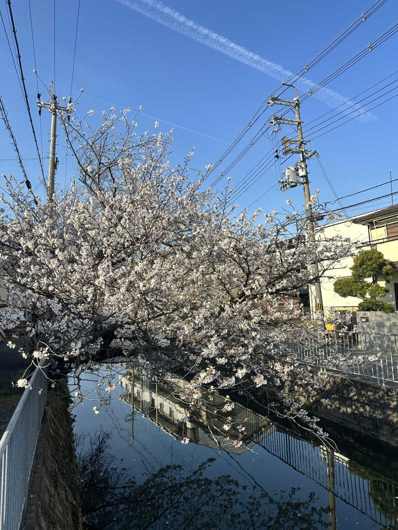 なかのひとさんの生駒湯のサ活写真