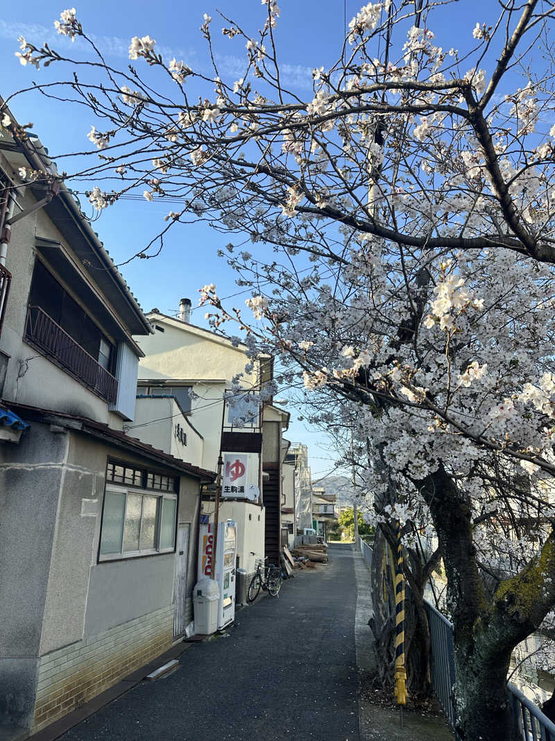 なかのひとさんの生駒湯のサ活写真