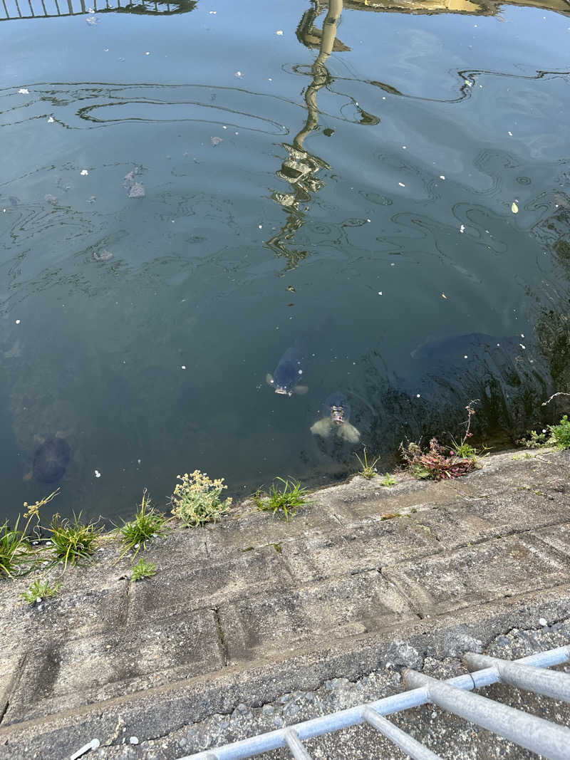 なかのひとさんの生駒湯のサ活写真