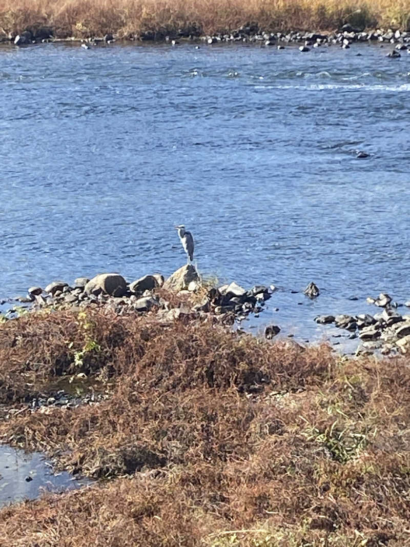 がくさんのkobatoisa cafe&saunaのサ活写真