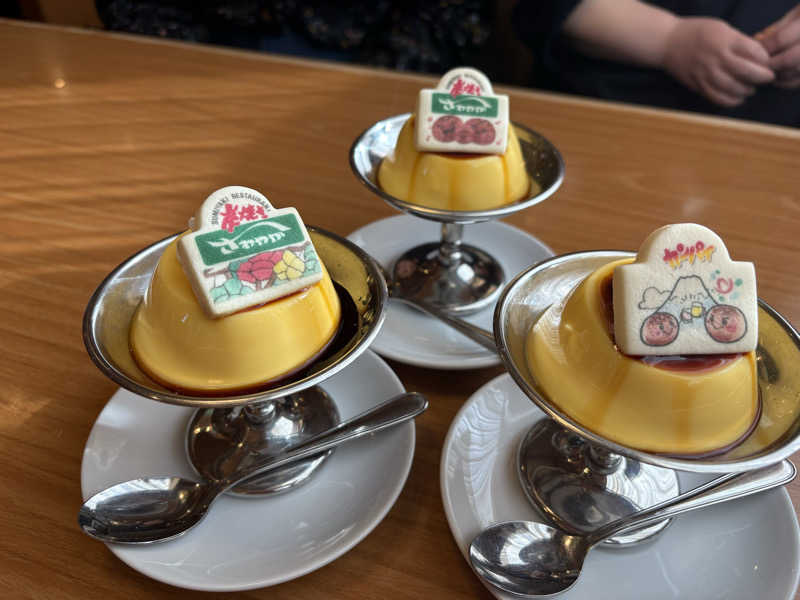 ぽぽみさんのホテルオーレインのサ活写真