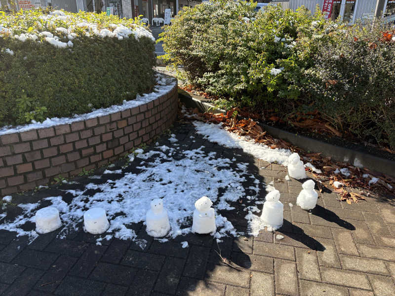 ぽぽみさんの天然温泉 真名井の湯 大井店のサ活写真