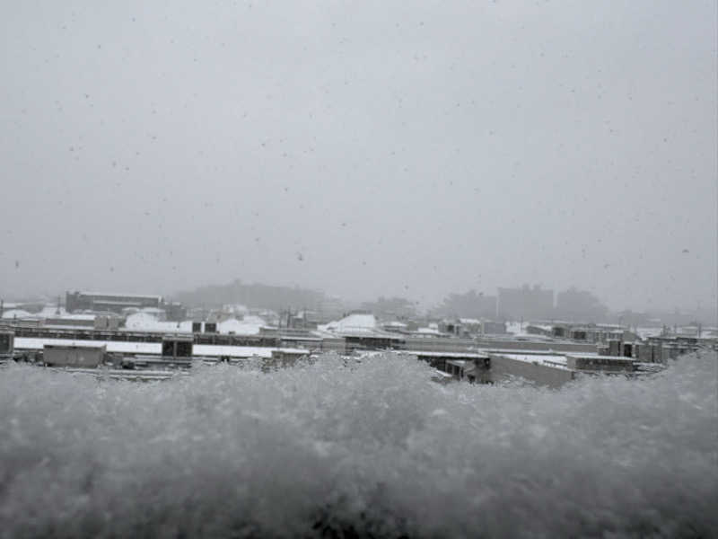 ぽぽみさんの天然温泉 真名井の湯 大井店のサ活写真