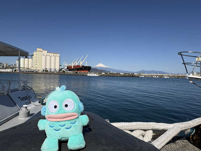 ぽぽみさんの天然温泉 真名井の湯 大井店のサ活写真