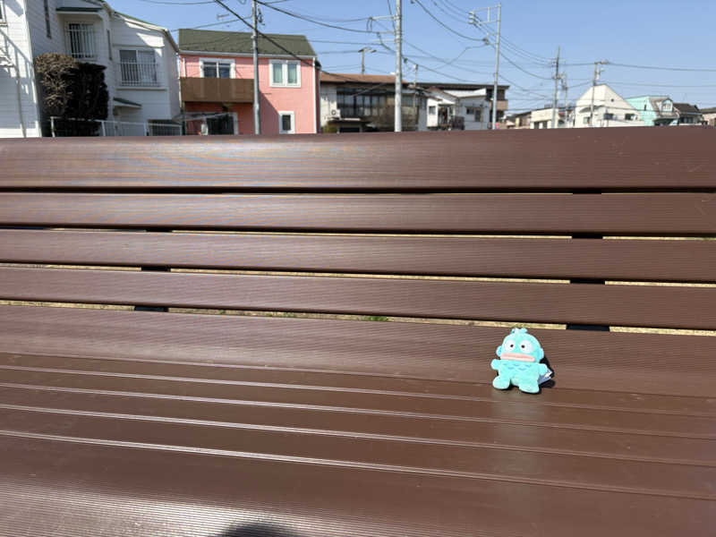 ぽぽみさんの天然温泉 真名井の湯 大井店のサ活写真